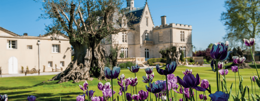 Château Pape Clément