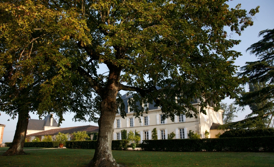 Château Guiraud