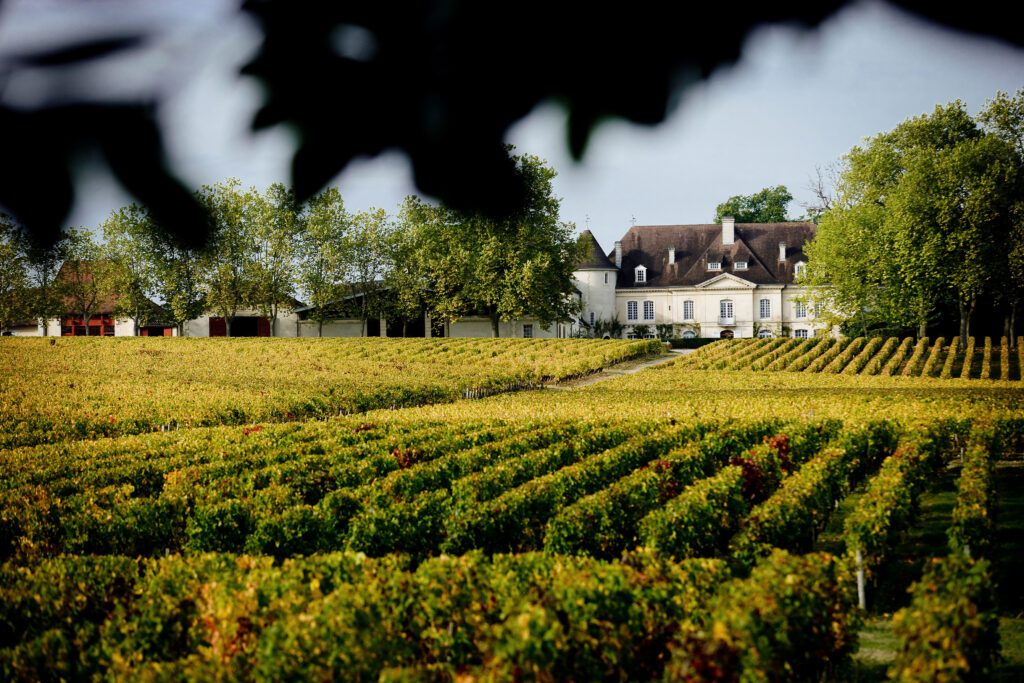 Château Bouscaut