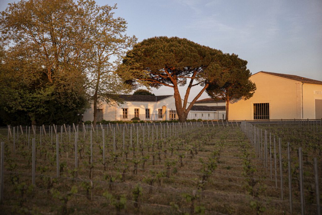 Château de Fieuzal